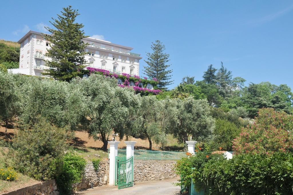 Grand Hotel San Michele Cetraro Εξωτερικό φωτογραφία
